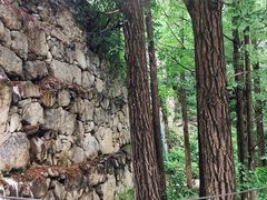 -阳台山自然风景区