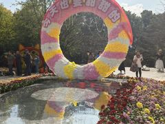 -南山植物园
