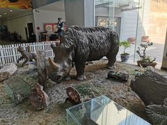 -中国第四纪冰川遗迹陈列馆