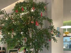-Aqua Oasis 水天堂(太湖中心mall店)