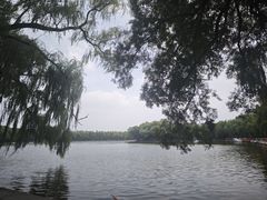 -北陵公园