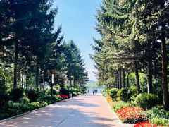 -长春市南湖公园