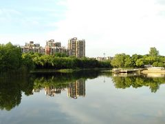 -新江湾城公园