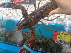 -港畔赶海蒸汽海鲜烧烤自助(仙螺岛店)