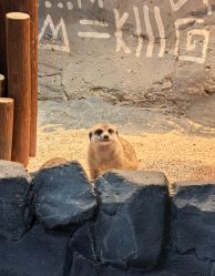 -Zoolung Zoolung动物主题公园(海信广场店)