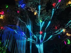 -梁鸿国家湿地公园