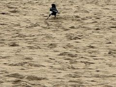 -白城沙滩