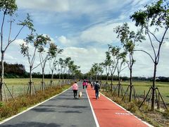 -上海长兴岛郊野公园