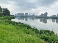 -飞来湖湿地公园
