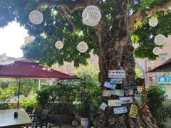 -泰堤坊(淡水体育馆店)