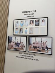 -智美品质医美