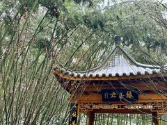 -蜀南竹海景区