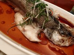 清蒸鲈鱼-大鸭梨(天通西苑店)
