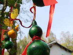 -溱湖国家湿地公园