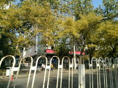 -北京稻香村(第三店)