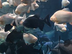 -多彩贵州城极地海洋世界