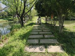 -西溪国家湿地公园