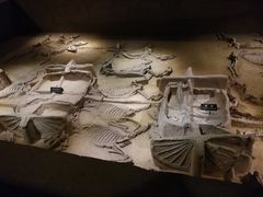 -洛阳周王城天子驾六博物馆