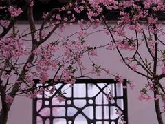 -莫愁湖公园