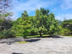 -中国科学院西双版纳热带植物园