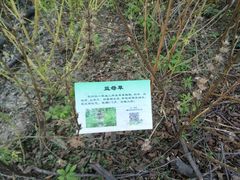 -昆山城市生态森林公园