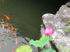 -桐庐开元名都大酒店