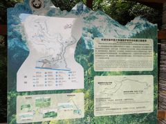 -都江堰中华大熊猫苑