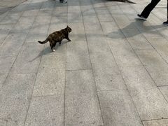 -青岛崂山太清宫