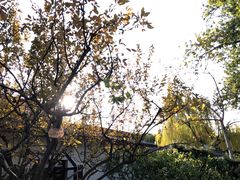 -趵突泉景区
