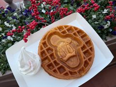 -IL paperino帕帕里诺冰激凌