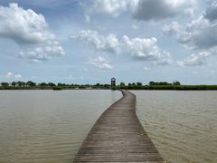 -盐城丹顶鹤湿地生态旅游区