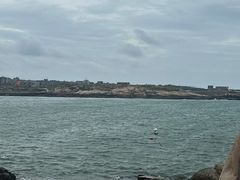 -坛南湾阿强农家乐.海鲜大排档老字号(福州地标美食店)