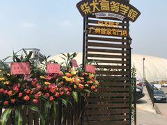 -柴犬高等学院·狗咖·柴犬售卖·宠物训练