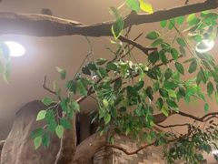 -今一靓汤.顺德菜东莞三十年老字号(厚街店)