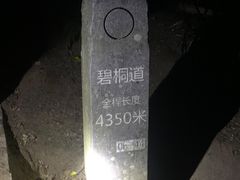 -梧桐山风景名胜区