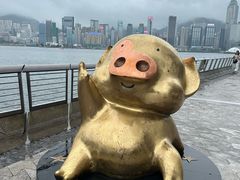 -星光大道