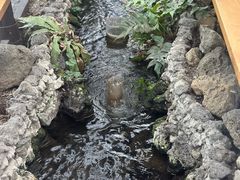 -西归浦每天偶来市场