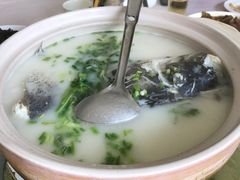 -天乐农家鱼头王(天目湖店)