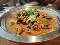 小鸡炖蘑菇-东北灶(青浦万达茂店)
