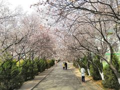 -山东师范大学(千佛山校区)