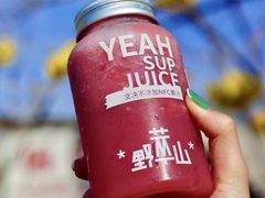 -野萃山·潮汕厚果汁(十亩地店)