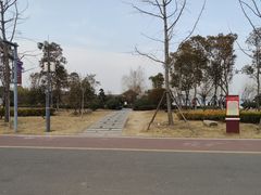 -南湖国家城市湿地公园