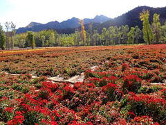 iphone_upload_pic-百里山水画廊乌龙峡谷
