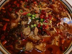 -付掌柜在成都·热炒砂锅集(金禾店)