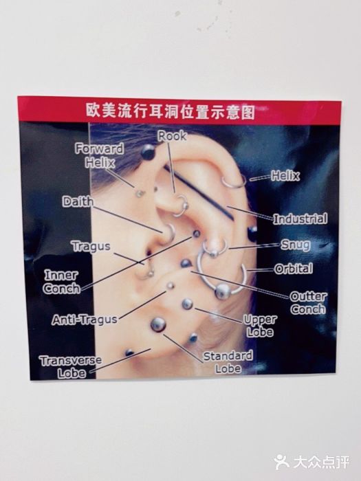 AI艾耳·专业手工耳洞·穿孔美学馆(环球港店)图片