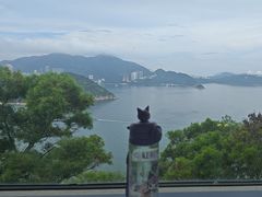 -湾景餐厅(海洋公园店)
