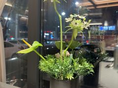 -老家水饺濮阳菜(巴黎街店)