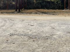 -黄埔油麻山森林公园