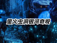 -怀托摩萤火虫洞