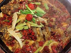 -老板恋上鱼(恒隆广场店)